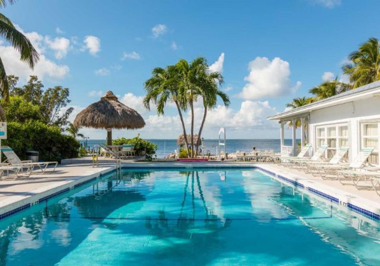 A swimming pool with a hut and palm trees